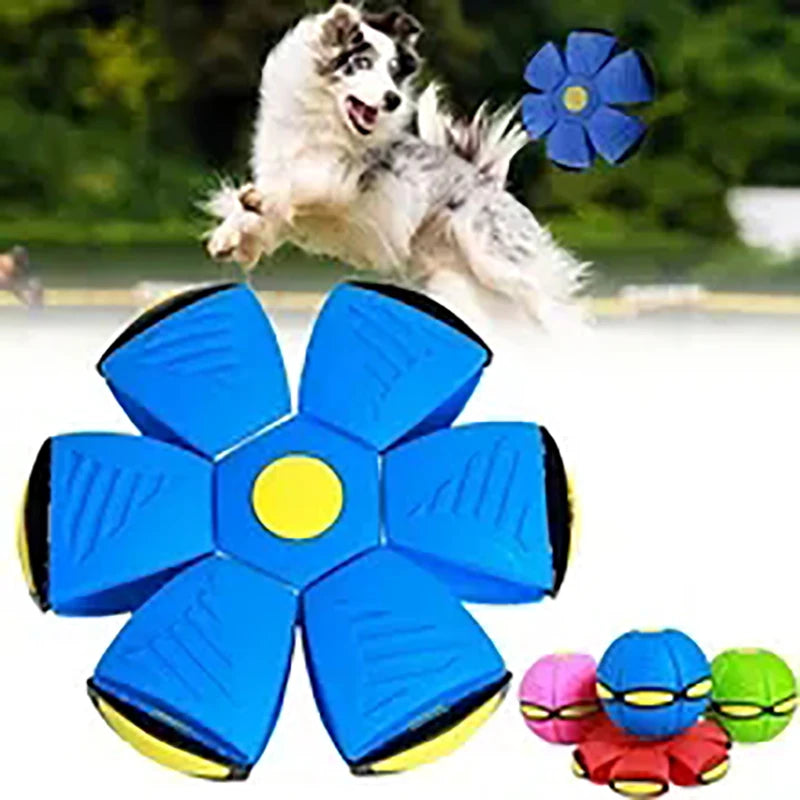 The SkyPup Flying Saucer Ball for Dogs